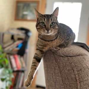 Meet your Posher, Kari